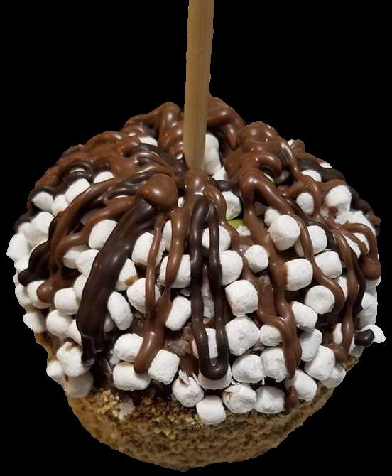 Smores Gourmet Caramel Apple